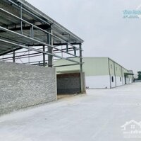 Cho Thuê Gấp 2.500M2 Xưởng Có Pccc Tự Động