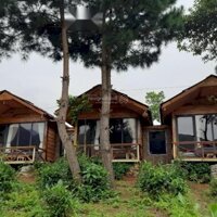 Bán Homestay View Suối Khoáng Nóng Trạm Tấu Sẵn Nhà Sàn, Sổ Đỏ Dòng Tiền 50 Triệu - 100 Triệu/Tháng