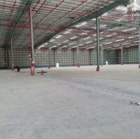 Cho Thuê Nhà Xưởng Đẹp Diện Tích 14000M2 Tại Vụ Bản- Nam Định