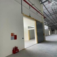 Cho Thuê Nhà Xưởng Đẹp Diện Tích 14000M2 Tại Vụ Bản- Nam Định