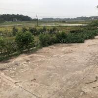 Cho thuê đất nông nghiệp tại Thị Trấn Vôi Lạng Giang Bắc Giang