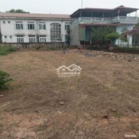 Đất Triệu Đề
