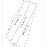 Đất Triệu Đề
