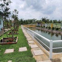 Bán Nhà Vườn Tân Thành Thủ Thừa Long An 1400M2 Giá Bán 2,4 Tỷ