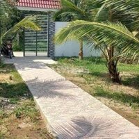 Bán Đất Vườn Chôm Chôm+Dừa+Bưởi | 1283M2 - 150 Thổ