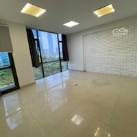 Cho Thuê Nhà Phân Lô Trung Yên 11 - 100M2X7T, Thông Sàn, Thang Máy, Nhà Mới Xây, Oto Đỗ Cửa