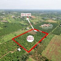 Chính Chủ Bán Nhà Vườn 13260M2 Đăk Đoa Gia Lai