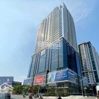 Cho Thuê Office Sàn Thương Mại Tại Tòa Gold Tower Hoàng Huy - 275 Nguyễn Trãi,Diện Tích50M, 85,.. 230M2