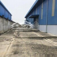 Cho Thuê Kho Xưởng 13.440M2 Trong Cụm Cn Nhơn Trạch Tỉnh Đồng Nai, Kho Mới Xây Dựng, Pccc Đầy Đủ