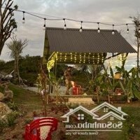 Farm 20000M2 Đỉnh Đồi View Hồ Tại Ninh Thuận