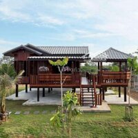 10.000M2 Đất Chỉ Có 1 Tỷ 490 Triệu