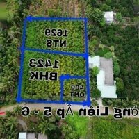 Bán 3.500M2 Đất Vườn Có Sẵn 400M2 Thổ Tạimặt Tiềnđan Liên Ấp Bình Đức-B.lứcdiện Tích50*70 Giá Bán 7 Tỷ