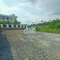 Lô Gốc 300M2 Full Thổ Cư Giá 499 Triệu