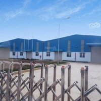 Cho Thuê Kho - Xưởngdiện Tíchtừ: 500M2, 1000M2, 1500M2, 2000M2, Đến 200.000M2 Tại Cẩm Giàng, Hải Dương