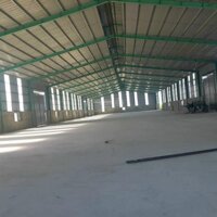 Cho Thuê Kho Xưởng 3000M2 Bình Chuẩn, Thuận An, Bd, Giá Thuê Rẻ Nhất Thị Trường, Cho Thuê Gấp Tl