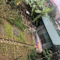 Cho Thuê Kho . Diện Tích 100M2 Lợp Tôn