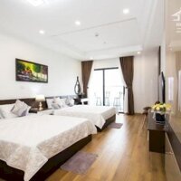 Căn Hộ Cao Cấp Tms Pullman Quy Nhơn Bình Định