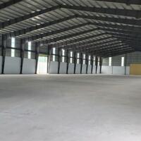 Cho thuê kho xưởng 2500m2 đến 30.000m2 đường Tỉnh Lộ 10, Huyện Đức Hoà, Tỉnh Long An