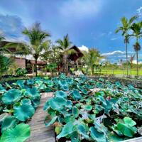    Nhà vườn đẹp Cách Buôn Ma Thuột 7km. Giá 18 tỷ