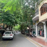 Chính chủ cần bán nhà mặt tiền Hồ Xuân Hương Hải Phòng phố Vip cực hiếm