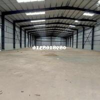   KHO 300M2 GIÁ RẺ ĐƯỜNG TÔN ĐẢN CHO THUÊ