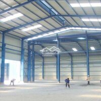 Tôi Cần Thuê Kho Q 1. Q3. Q4 Từ 500-1000M2