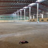 Cho Thuê Nhà Xưởng Đẹp 1600M2 Tại Đường Bình Thới, F.10, Quận 11.