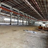 Cho Thuê Kho Q11-Diện Tích1000M2 Y Hình, Có Pccc