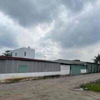 Cho Thuê Xưởng 5000M2.Tỉnh Lộ 8,Bình Mỹ Củ Chi.