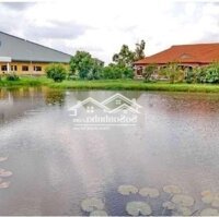 Cho Thuê Kho Xưởng 19000M2 Trung Lập Hạ Củ Chi