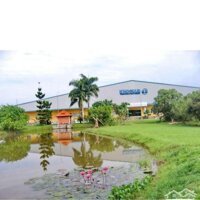 Cho Thuê Kho Xưởng 19000M2 Trung Lập Hạ Củ Chi