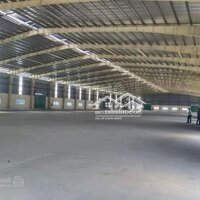 Nhà Xưởng Cho Thuê Tại Tân Thông Hội , Củ Chi , Dt: 30.000M2 ( 3Ha )