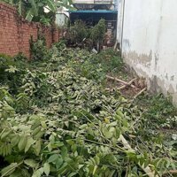 Đất Chính Chủ Phường Tân Chánh Hiệp, Quận 12.