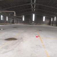 Cho thuê kho xưởng phường Khánh Bình 2000m2 Tân Uyên. Bình Dương LH: 0908 954 129