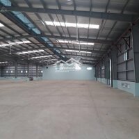 Cho Thuê Kho Xưởng Diện Tích 4.000M2 Đường Phan Huy Ích, P.14, Q. Gò Vấp.