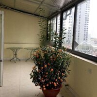 Chung Cư Trần Thái Tông 120M2, 3 Phòng Ngủ Sạch Đẹp