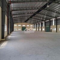 Cho Thuê Kho Xưởng 1000M2 Kcn Long An Pccc Tự Đông