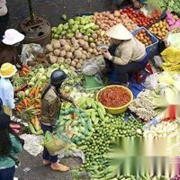 Bán Nhà Đẹp Trịnh Quang Nghị Cách Chợ Phú Lạc 500M