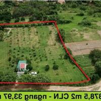 Bán đất nhà vườn Ninh Hòa - Đã đăng ký 1000m2 thổ cư - Ngang 34m - Đường ô tô