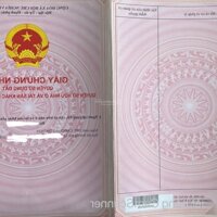 Đất Ngộp Ngay Khu Chợ Mới Long Thành, Sổ Hồng Riêng Đầy Đủ, 790 Triệu/Nền