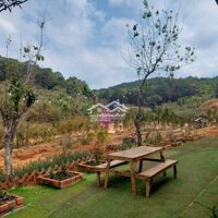 Sang Nhượng Homestay Đ. Trúc Lâm Yên Tử P3