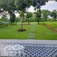 Cần Bán Lô Đất Nghỉ Dưỡng - Homestay