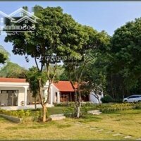 Cần Bán Lô Đất Nghỉ Dưỡng - Homestay