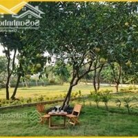 Cần Bán Lô Đất Nghỉ Dưỡng - Homestay