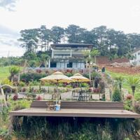 Bán đất Kiwuki Village Bảo Lộc - Sổ hồng thổ cư - View đồi thông và suối