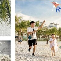 Do Kẹt Vay Bank Nhiều Căn Nên Cần Chuyển Nhượng Vinhomes Ocean Park 1-2-3 , Giá Giảm 25% So Với Gốc