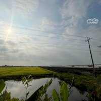 18 Công Đất Lúa_Cạnh Công Ty Bright Sunshine Ngay Ql62