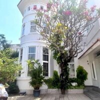 Villa 500M2, Sân Vườn Rộng Đẹp, Phường Thảo Điền