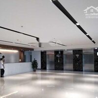 Cho Thuê Văn Phòng Đẹp Tòa Detech Tower Ii, Nguyễn Phong Sắc, Cầu Giấy