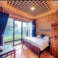 Sang Nhượng Homestay 1200M2 Đang Kinh Doanh Tốt Tại Tả Phìn, Sa Pa